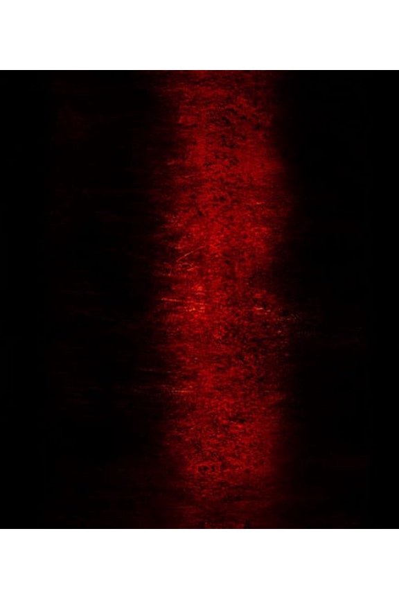 Paul Jebasasam - Rites - Electronica - CD