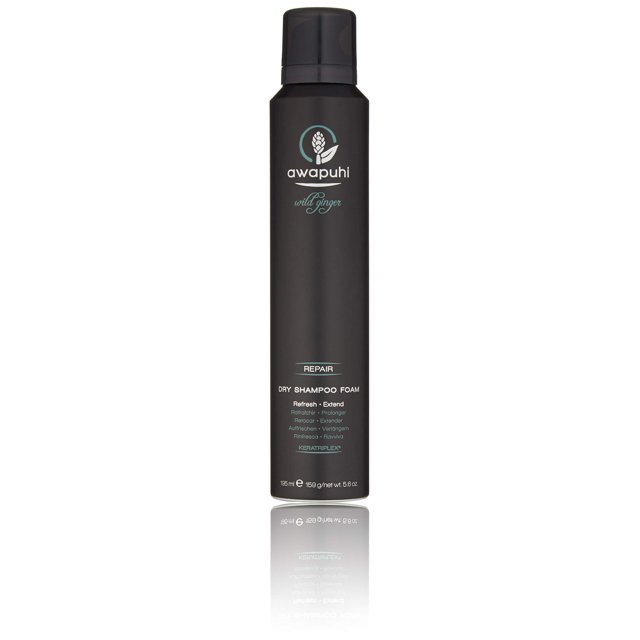 Paul Mitchell Awapuhi Wild Ginger Dry Shampoo Foam 5.6 oz