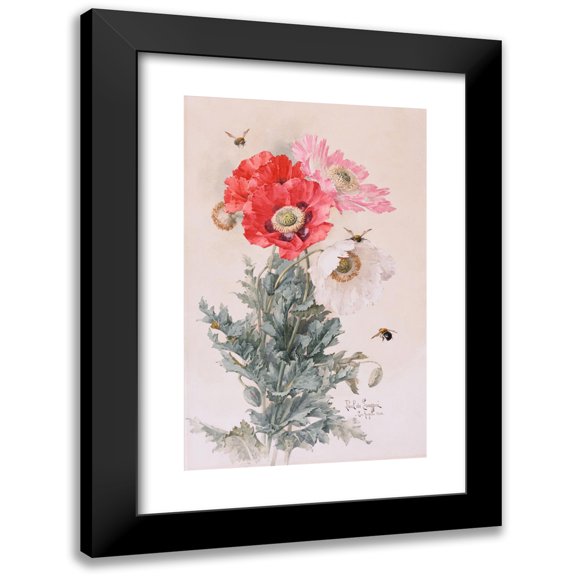 Paul de Longpre 11x14 Black Modern Framed Museum Art Print Titled - Poppies and Bees (1906)