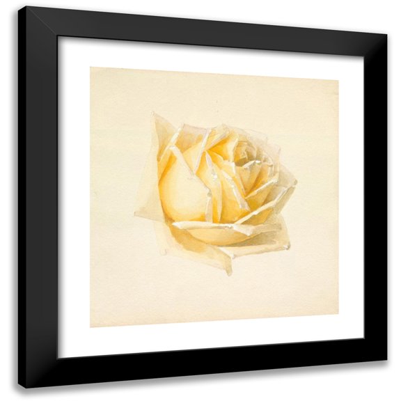 Paul de Longpre 12x13 Black Modern Framed Museum Art Print Titled - Study of a Rose (circa 1898)
