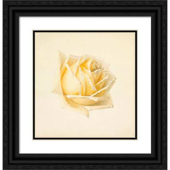 Paul de Longpre 20x21 Black Ornate Framed Double Matted Museum Art Print Titled: Study of a Rose (circa 1898)