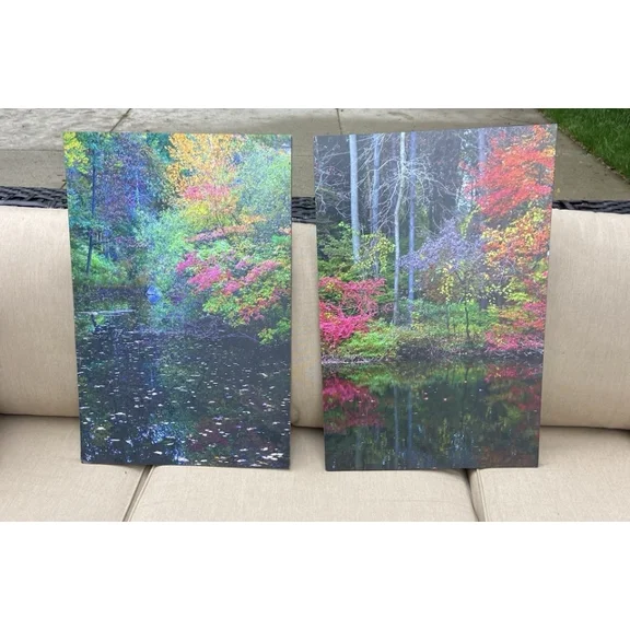 PaulWoodImages Set Of 2 Pictures, Stretched Canvas