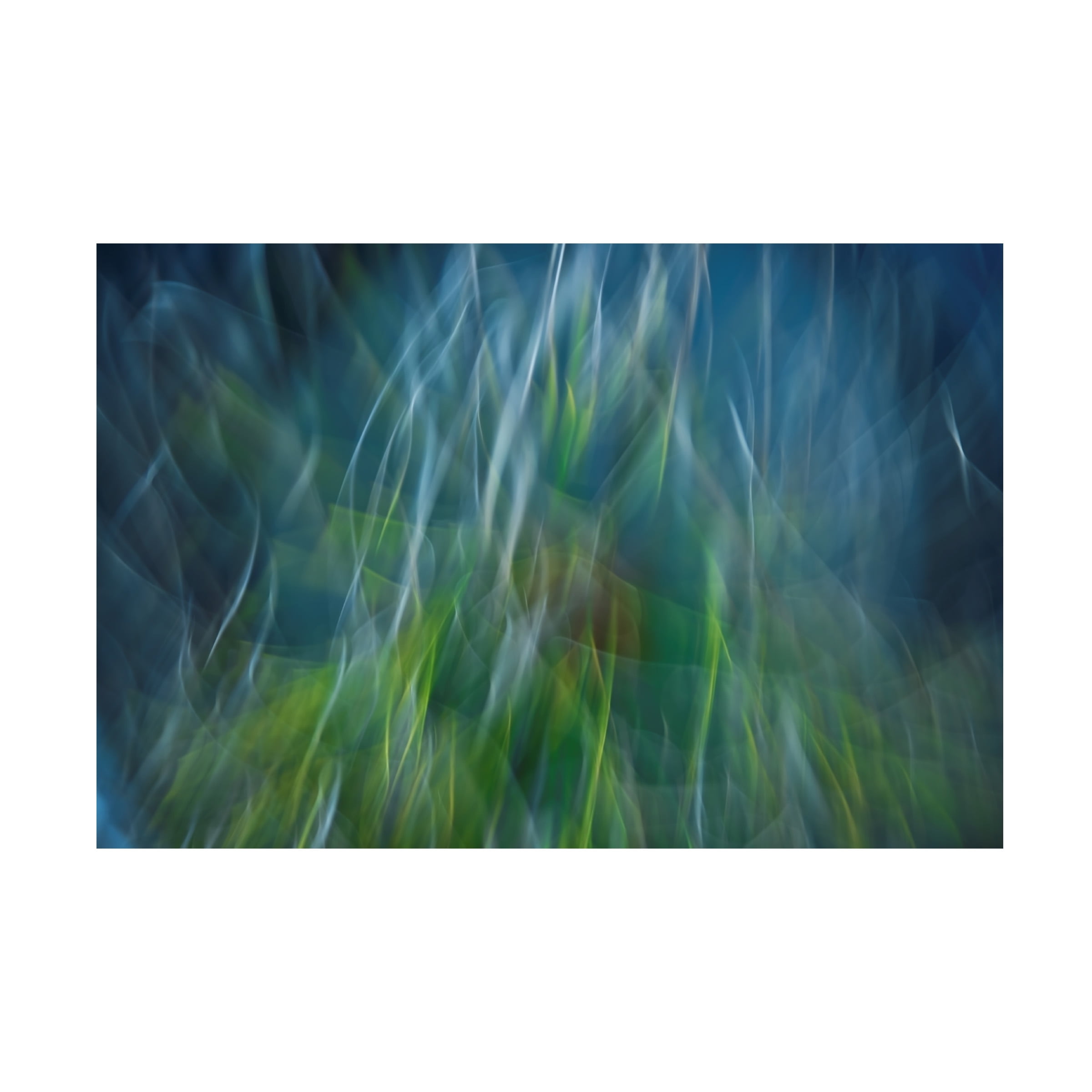 Paulo Abrantes 'Electro Shock Blues' Canvas Art