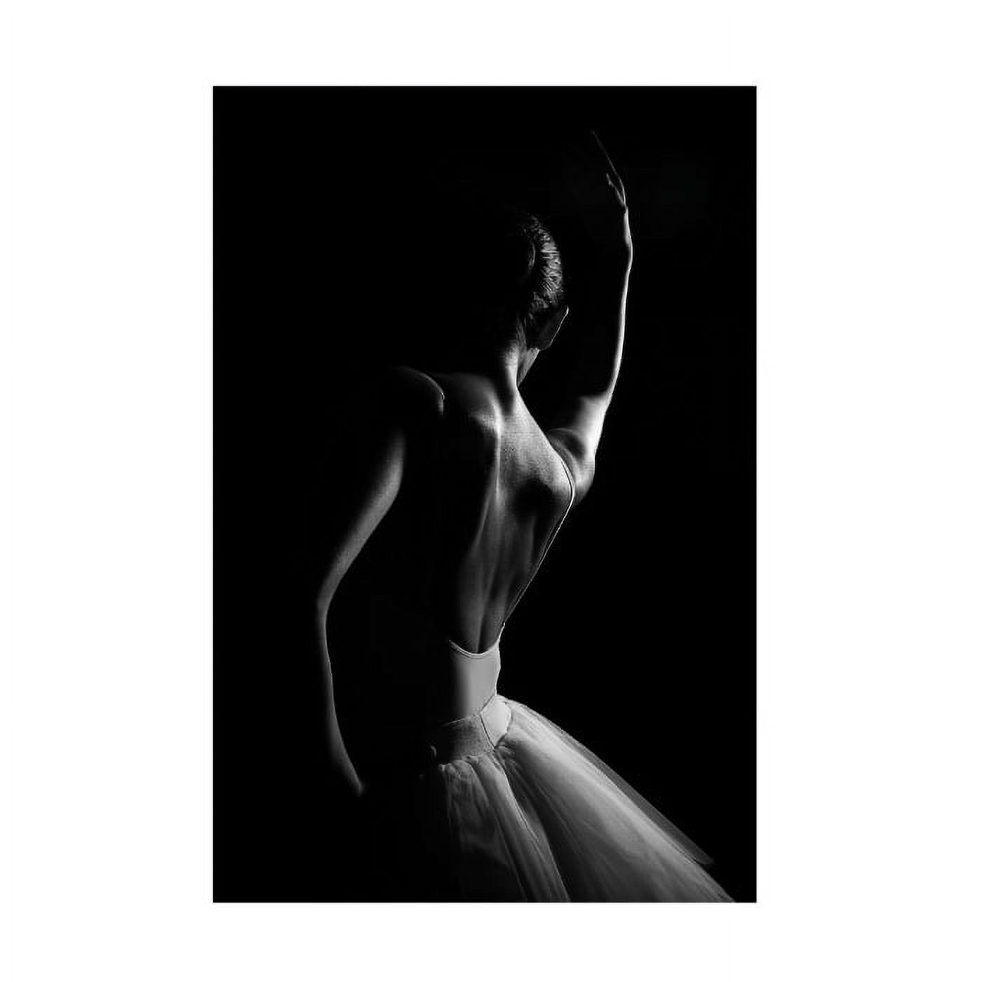 Paulo Medeiros 'The Dancer' Canvas Art