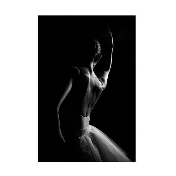 Paulo Medeiros 'The Dancer' Canvas Art