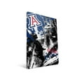 thumbnail image 1 of Paulson Designs ARZSP2436 Arizona Spirit Canvas, 24 x 36 in., 1 of 1