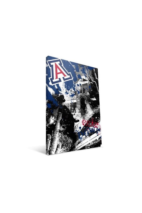 ARZSP2436 Arizona Spirit Canvas, 24 x 36 in.