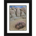 thumbnail image 1 of Paulson, Don 11x14 Black Ornate Wood Framed with Double Matting Museum Art Print Titled - CA, Alabama Hills Barrel cactus and boulders, 1 of 4
