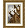 thumbnail image 1 of Paulson, Don 11x14 Gold Ornate Wood Framed with Double Matting Museum Art Print Titled - CA, Inyo NF  Ancient Bristlecone Pine Forest, 1 of 4