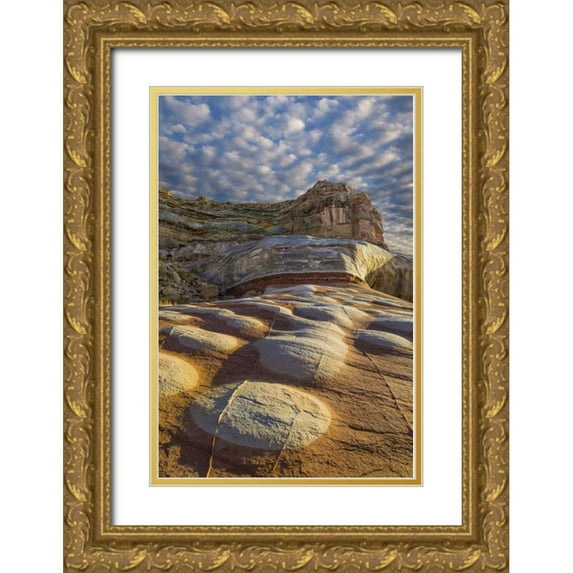 Paulson, Don 11x14 Gold Ornate Wood Framed with Double Matting Museum Art Print Titled - Utah, Glen Canyon Bleached patterns in sandstone