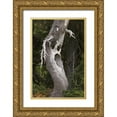 thumbnail image 1 of Paulson, Don 11x14 Gold Ornate Wood Framed with Double Matting Museum Art Print Titled - Washington, Mount Rainier NP Spooky ghost tree, 1 of 4