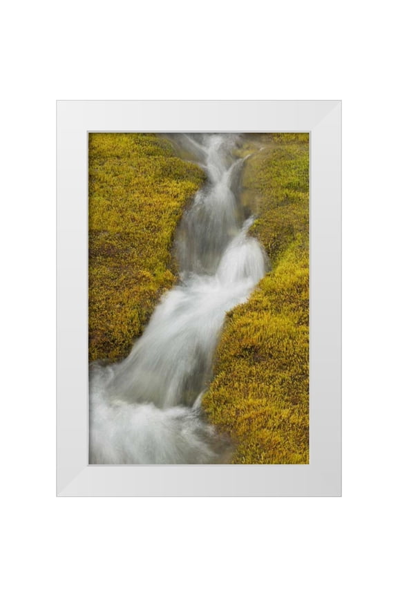 Paulson, Don 11x14 White Modern Wood Framed Museum Art Print Titled - AK, Glacier Bay NP Stream cascade amid moss