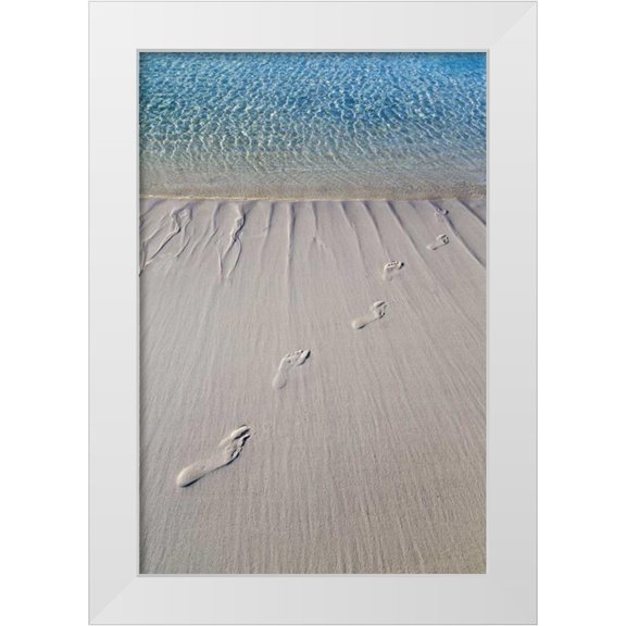 Paulson, Don 11x14 White Modern Wood Framed Museum Art Print Titled - Bahamas, Exuma Island Sand footprints