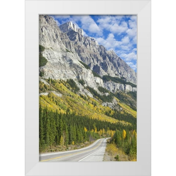 Paulson, Don 11x14 White Modern Wood Framed Museum Art Print Titled - Canada, Alberta, Jasper NP The Icefields Parkway