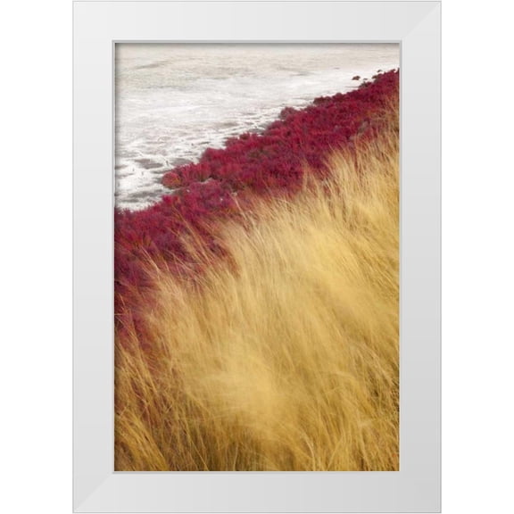 Paulson, Don 11x14 White Modern Wood Framed Museum Art Print Titled - Canada, BC, Kamloops Grass and dried lake bed