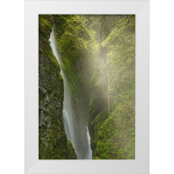 Paulson, Don 11x14 White Modern Wood Framed Museum Art Print Titled - OR, Columbia Gorge Overlook of Elowah Falls