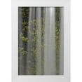 thumbnail image 1 of Paulson, Don 11x14 White Modern Wood Framed Museum Art Print Titled - OR, Willamette NF Koosah Falls and ferns, 1 of 4