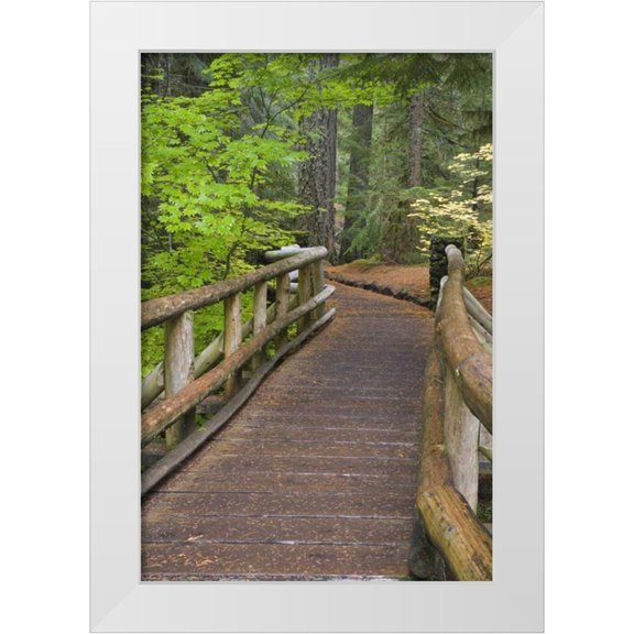 Paulson, Don 11x14 White Modern Wood Framed Museum Art Print Titled - OR, Willamette NF Wooden foot bridge