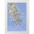 thumbnail image 1 of Paulson, Don 11x14 White Modern Wood Framed Museum Art Print Titled - Washington, Seabeck Cherry blossoms, 1 of 4