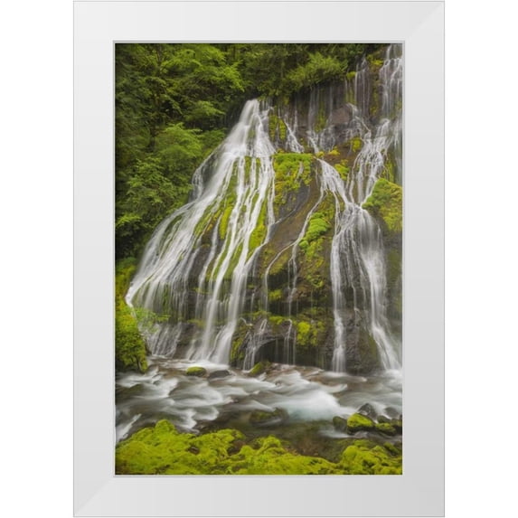 Paulson, Don 11x14 White Modern Wood Framed Museum Art Print Titled - Washington Spring Panther Creek Waterfall