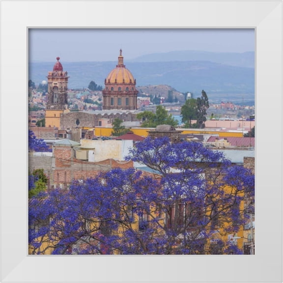 Paulson, Don 12x12 White Modern Wood Framed Museum Art Print Titled - Mexico, San Miguel de Allende Jacaranda and city