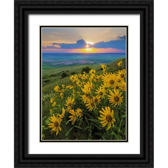 Paulson, Don 12x14 Black Ornate Wood Framed with Double Matting Museum Art Print Titled - WA, Palouse Hills Douglas sunflowers