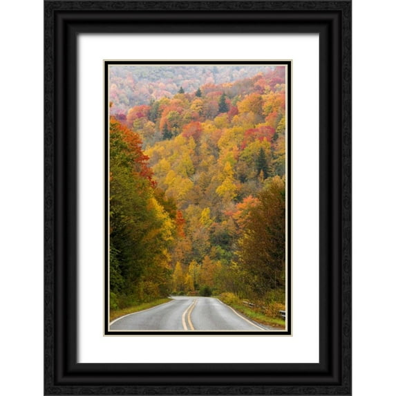 Paulson, Don 13x18 Black Ornate Wood Framed with Double Matting Museum Art Print Titled - North Carolina Road through autumn forest