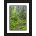 thumbnail image 1 of Paulson, Don 13x18 Black Ornate Wood Framed with Double Matting Museum Art Print Titled - USA, Washington, Olympic NP Forest trail, 1 of 4