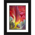 thumbnail image 1 of Paulson, Don 13x18 Black Ornate Wood Framed with Double Matting Museum Art Print Titled - USA, Washington, Seabeck Detail of parrot tulip, 1 of 4