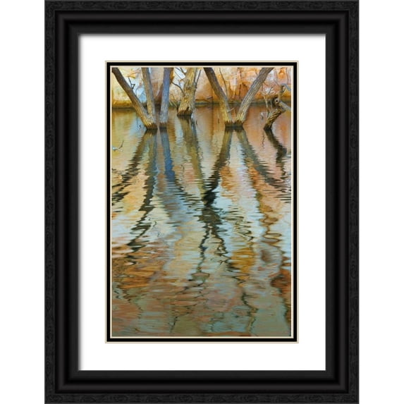 Paulson, Don 13x18 Black Ornate Wood Framed with Double Matting Museum Art Print Titled - UT, Glen Canyon Cottonwood trees in Canyon water