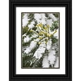 thumbnail image 1 of Paulson, Don 13x18 Black Ornate Wood Framed with Double Matting Museum Art Print Titled - WA, snowy Oregon grape shrub with yellow flowers, 1 of 4
