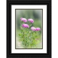 thumbnail image 1 of Paulson, Don 13x18 Black Ornate Wood Framed with Double Matting Museum Art Print Titled - Washington, Mount Rainier NP Wildflowers, 1 of 4