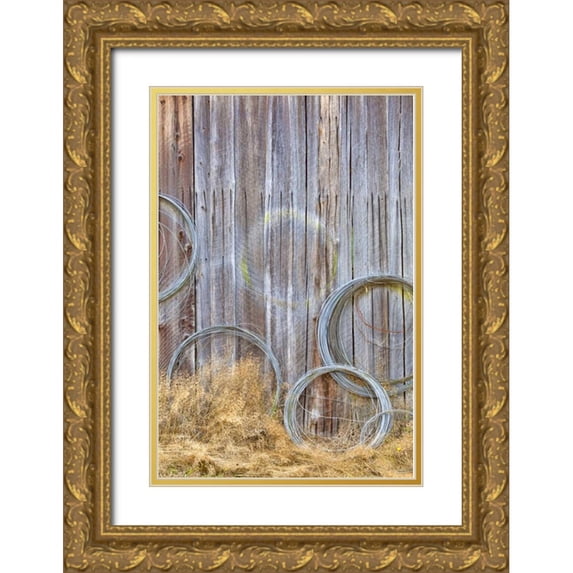 Paulson, Don 13x18 Gold Ornate Wood Framed with Double Matting Museum Art Print Titled - WA, Silverdale Wire coiled on barn wall