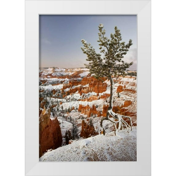 Paulson, Don 13x18 White Modern Wood Framed Museum Art Print Titled - Utah, View of Bryce Canyon in winter