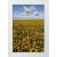 thumbnail image 1 of Paulson, Don 13x18 White Modern Wood Framed Museum Art Print Titled - Washington State, Connell Coneflower field, 1 of 4