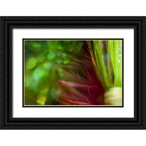 Paulson, Don 14x11 Black Ornate Wood Framed with Double Matting Museum Art Print Titled - AK, Lake Clark NP Abstract of fishing flies