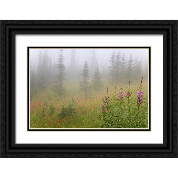 Paulson, Don 14x11 Black Ornate Wood Framed with Double Matting Museum Art Print Titled - Canada, BC, Revelstoke NP Misty meadow scenic