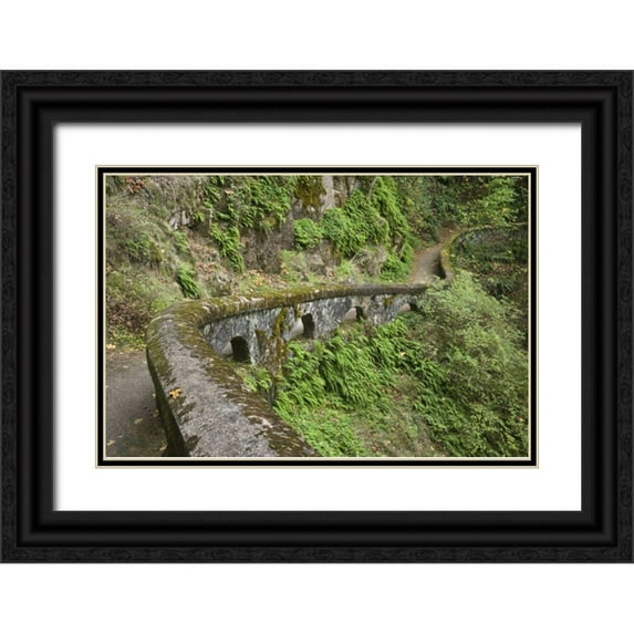 Paulson, Don 14x11 Black Ornate Wood Framed with Double Matting Museum Art Print Titled - OR, Columbia Gorge Stone wall next to trail