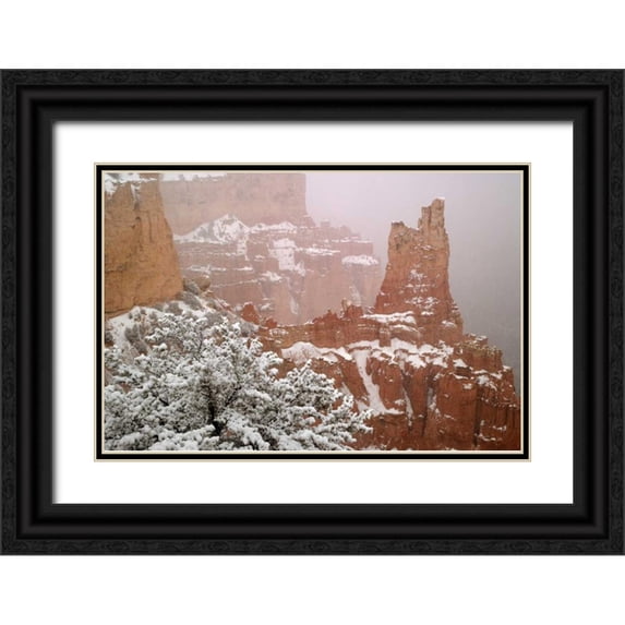 Paulson, Don 14x11 Black Ornate Wood Framed with Double Matting Museum Art Print Titled - Utah, Bryce Canyon Paria Valley formations