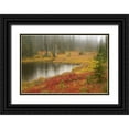 thumbnail image 1 of Paulson, Don 14x11 Black Ornate Wood Framed with Double Matting Museum Art Print Titled - WA, Mount Rainier NP Fall-colored meadow, 1 of 4