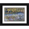 thumbnail image 1 of Paulson, Don 14x11 Black Ornate Wood Framed with Double Matting Museum Art Print Titled - WY, Grand Tetons Swans and forest reflection, 1 of 4