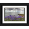 thumbnail image 1 of Paulson, Don 14x11 Black Ornate Wood Framed with Double Matting Museum Art Print Titled - Washington Camas blooms on Sucia Island, 1 of 4