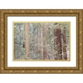 thumbnail image 1 of Paulson, Don 14x11 Gold Ornate Wood Framed with Double Matting Museum Art Print Titled - California Tres in Muir Woods NM in springtime, 1 of 4