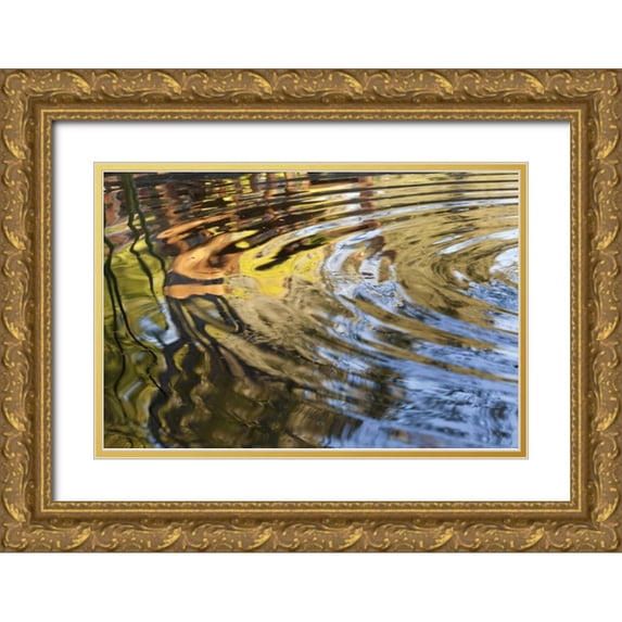 Paulson, Don 14x11 Gold Ornate Wood Framed with Double Matting Museum Art Print Titled - Mexico, Tecate Ripples in pool