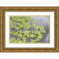 thumbnail image 1 of Paulson, Don 14x11 Gold Ornate Wood Framed with Double Matting Museum Art Print Titled - WA, Stehekin Pacific dogwood over Rainbow Creek, 1 of 4