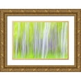 thumbnail image 1 of Paulson, Don 14x11 Gold Ornate Wood Framed with Double Matting Museum Art Print Titled - WA, Yakima River Trail Abstract of aspen trees, 1 of 4