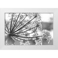 thumbnail image 1 of Paulson, Don 14x11 White Modern Wood Framed Museum Art Print Titled - Alaska, Glacier Bay Cow parsnip in Bartlett Cove, 1 of 4