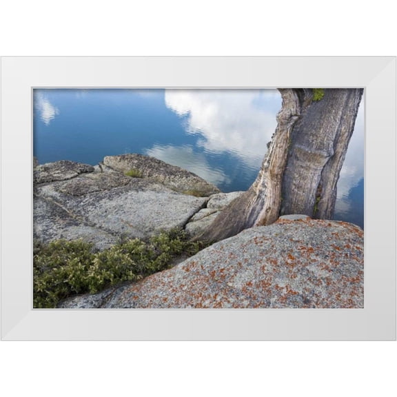 Paulson, Don 14x11 White Modern Wood Framed Museum Art Print Titled - CA, Toiyabe NF Rocks and tree by Granite Lake