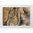 thumbnail image 1 of Paulson, Don 14x11 White Modern Wood Framed Museum Art Print Titled - California, Inyo NF Gnarled pine tree trunk, 1 of 4