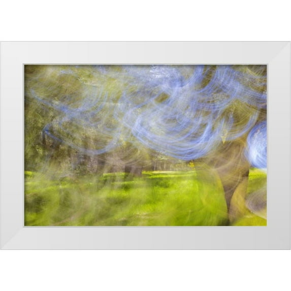 Paulson, Don 14x11 White Modern Wood Framed Museum Art Print Titled - Mexico, Tecate Motion blurred outside abstract
